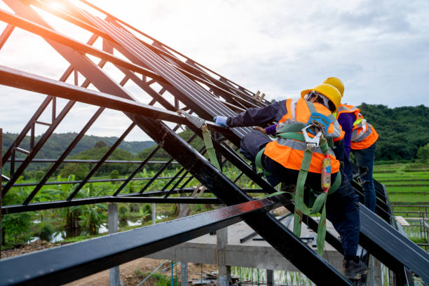 Gutter Installation and Roofing in Lynwood, IL