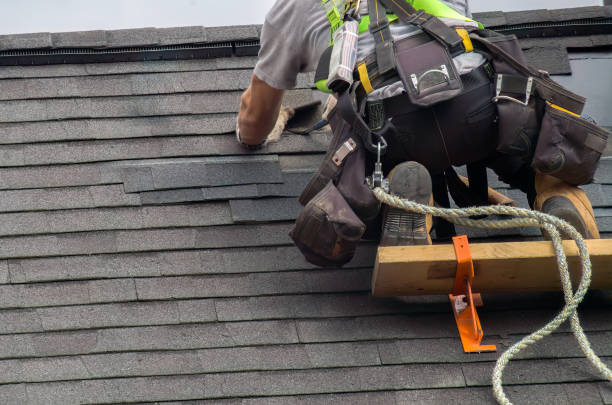 Roof Gutter Cleaning in Lynwood, IL