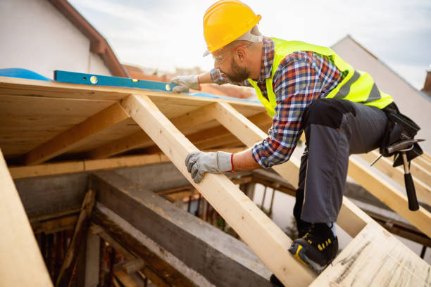 Best Roof Maintenance Services  in Lynwood, IL