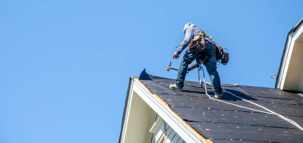 Best Roof Restoration Services  in Lynwood, IL